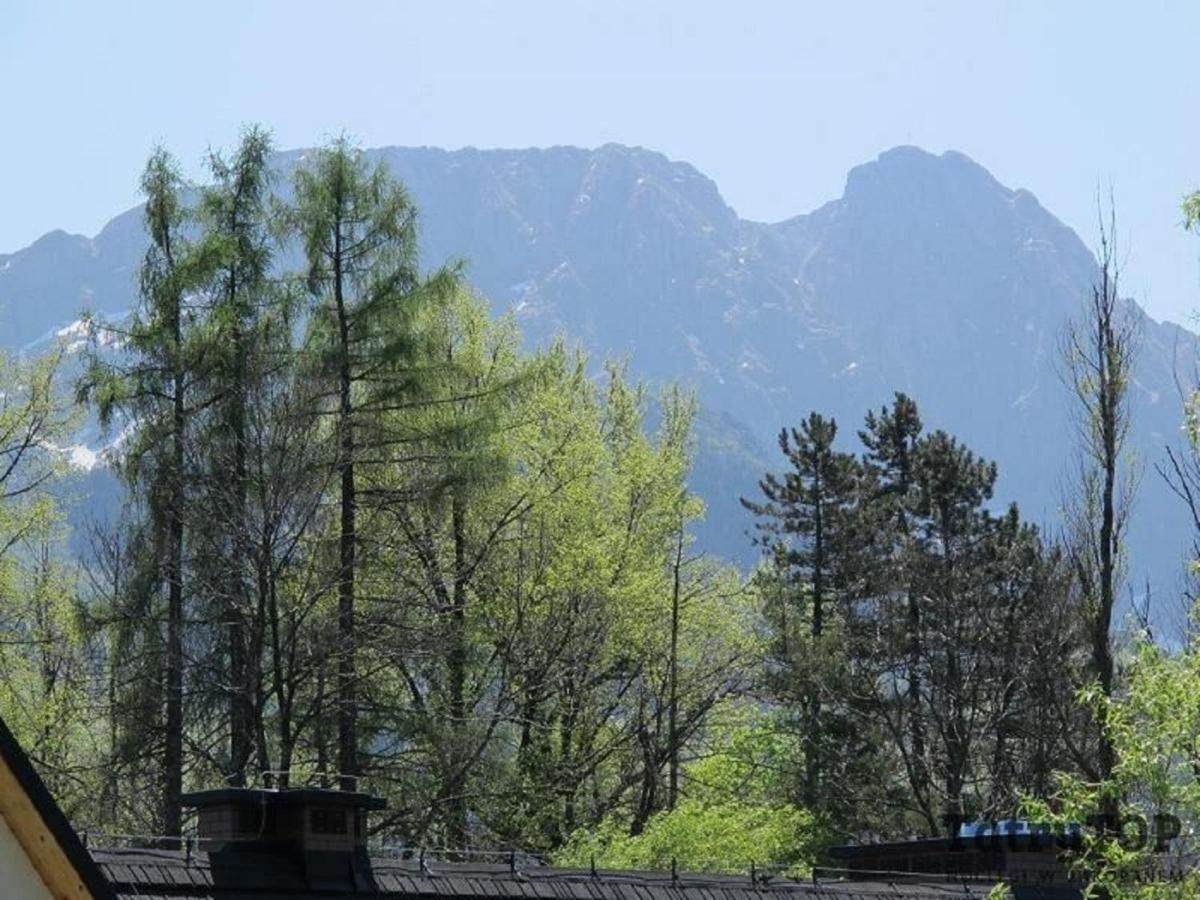 TatryTOP Apartamenty Kaszelewski Zakopane Zewnętrze zdjęcie